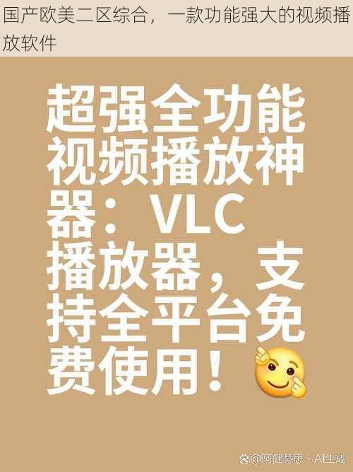 国产欧美二区综合,一款功能强大的视频播放软件