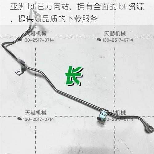 亚洲 bt 官方网站,拥有全面的 bt 资源,提供高品质的下载服务