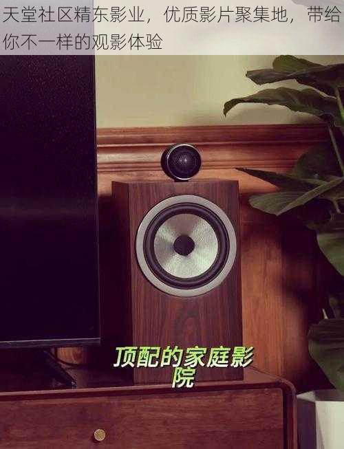 天堂社区精东影业,优质影片聚集地,带给你不一样的观影体验
