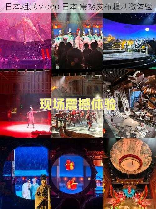 日本粗暴 video 日本 震撼发布超刺激体验