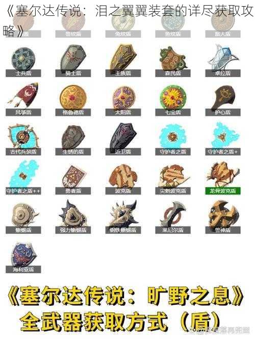 《塞尔达传说:泪之翼翼装套的详尽获取攻略》