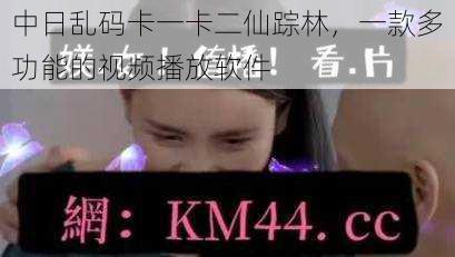 中日乱码卡一卡二仙踪林,一款多功能的视频播放软件