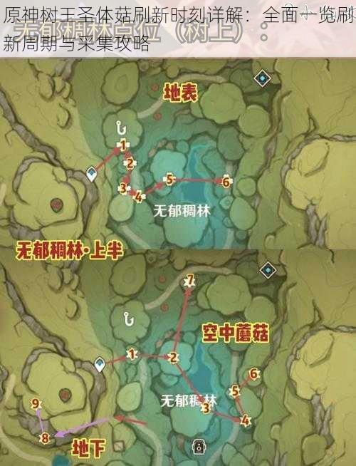 原神树王圣体菇刷新时刻详解:全面一览刷新周期与采集攻略