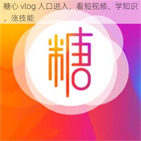 糖心 vlog 入口进入,看短视频、学知识、涨技能