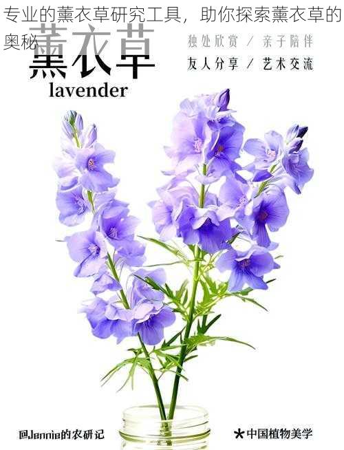 专业的薰衣草研究工具,助你探索薰衣草的奥秘