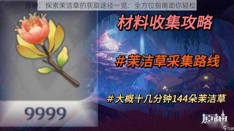 原神:探索茉洁草的获取途径一览:全方位指南助你轻松入手