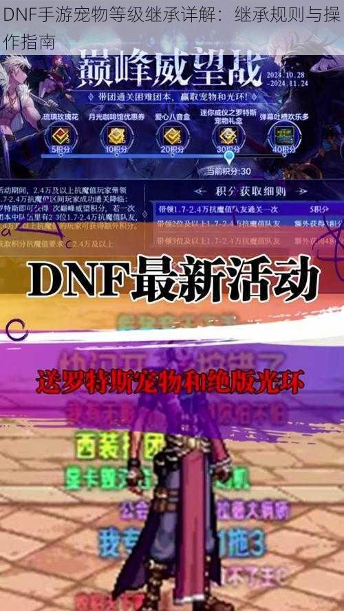 DNF手游宠物等级继承详解:继承规则与操作指南