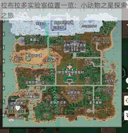 拉布拉多实验室位置一览:小动物之星探索之旅