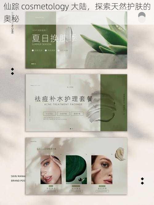 仙踪 cosmetology 大陆,探索天然护肤的奥秘
