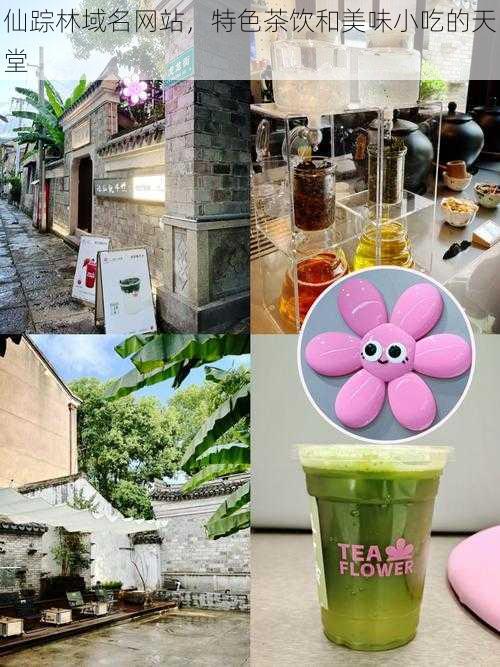 仙踪林域名网站,特色茶饮和美味小吃的天堂