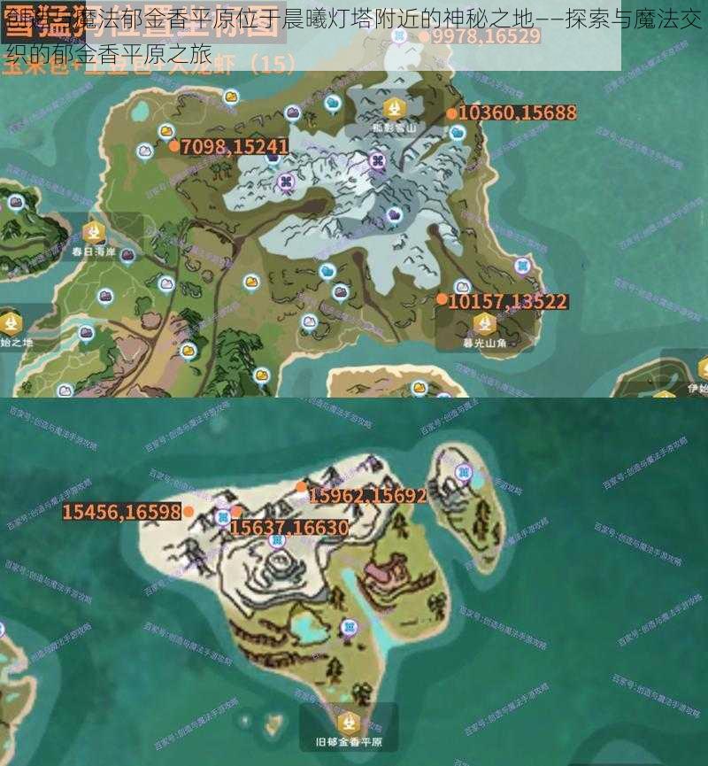 创造与魔法郁金香平原位于晨曦灯塔附近的神秘之地——探索与魔法交织的郁金香平原之旅