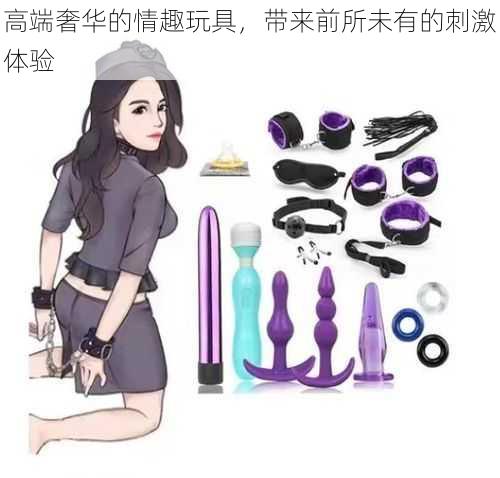 高端奢华的情趣玩具,带来前所未有的刺激体验