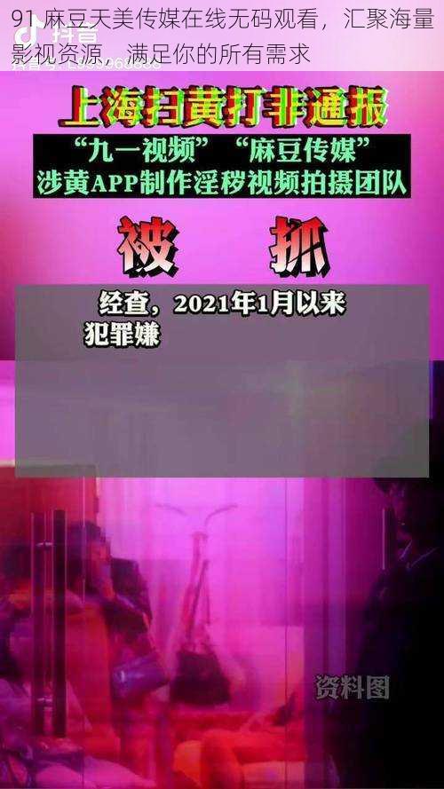 91 麻豆天美传媒在线无码观看,汇聚海量影视资源,满足你的所有需求