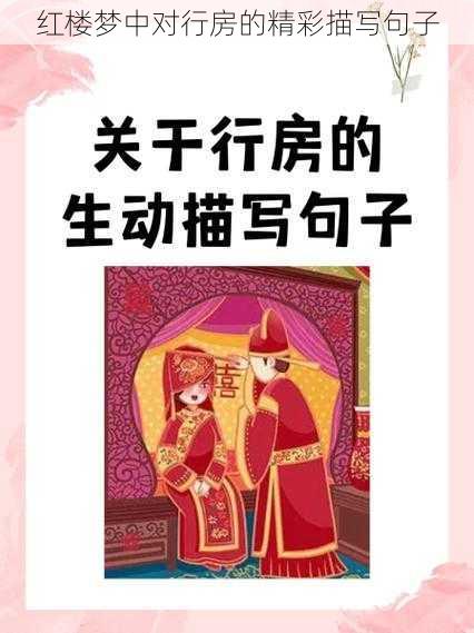 红楼梦中对行房的精彩描写句子