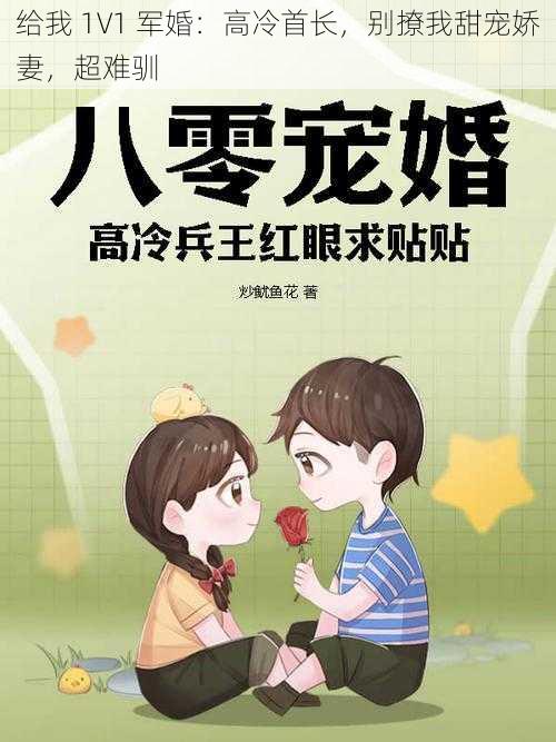 给我 1V1 军婚:高冷首长,别撩我甜宠娇妻,超难驯