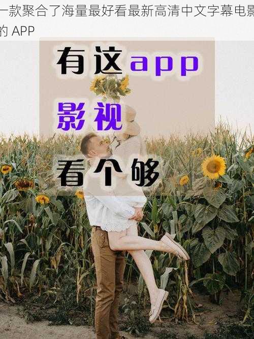 一款聚合了海量最好看最新高清中文字幕电影的 APP
