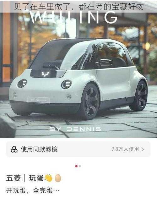 见了在车里做了,都在夸的宝藏好物