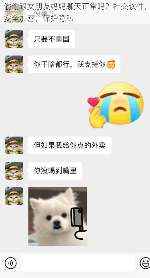 偷偷跟女朋友妈妈聊天正常吗?社交软件,安全加密,保护隐私