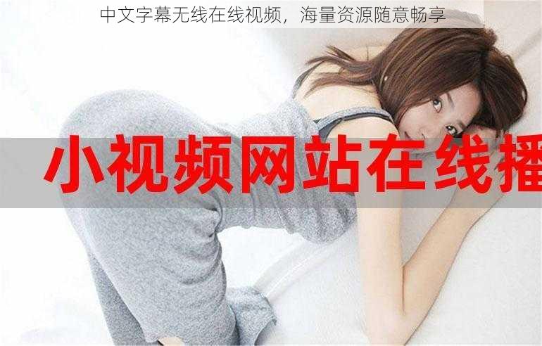 中文字幕无线在线视频,海量资源随意畅享