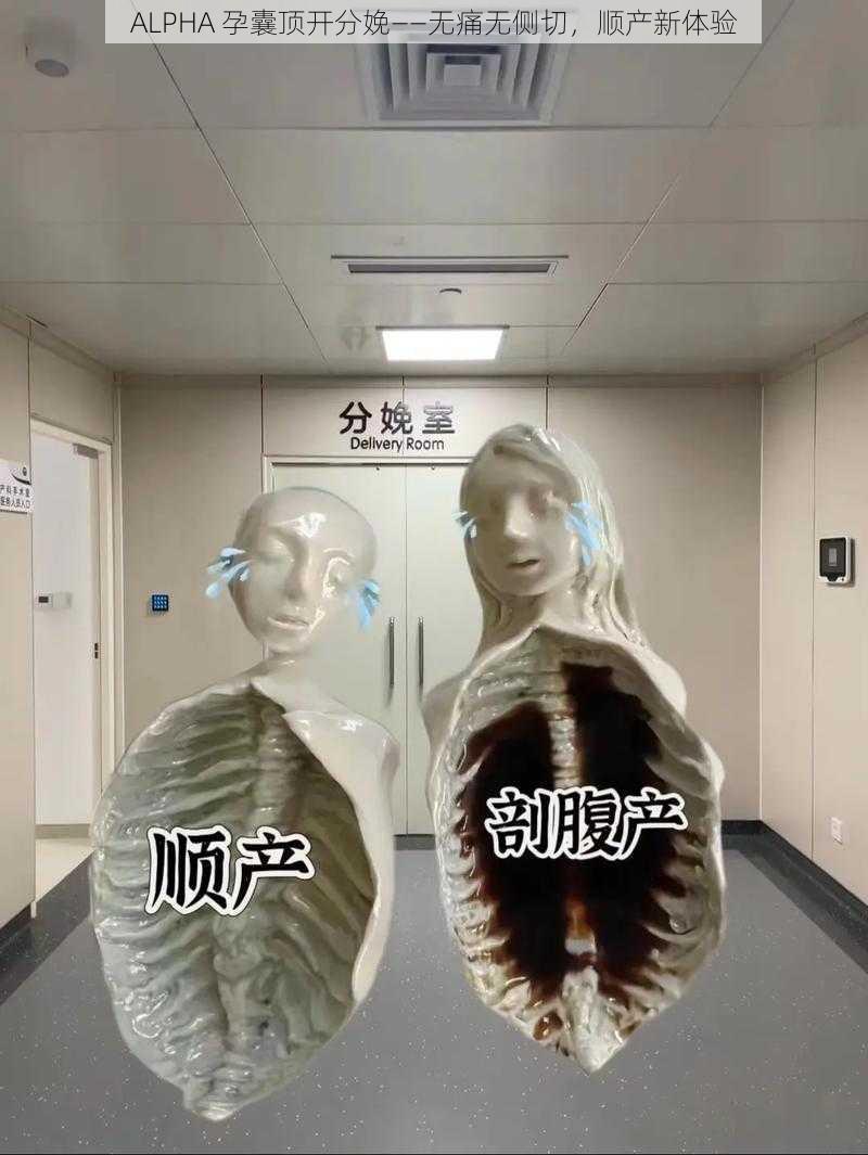 ALPHA 孕囊顶开分娩——无痛无侧切,顺产新体验
