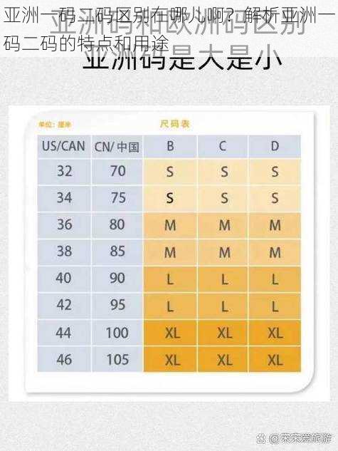 亚洲一码二码区别在哪儿啊?解析亚洲一码二码的特点和用途