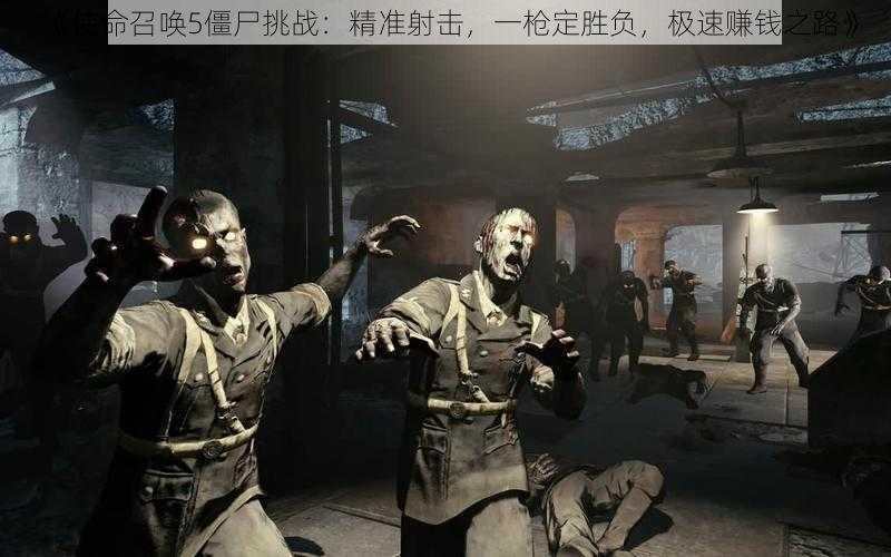 《使命召唤5僵尸挑战:精准射击,一枪定胜负,极速赚钱之路》