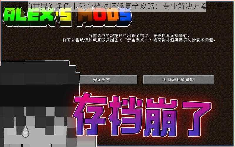 《我的世界》角色卡死存档损坏修复全攻略:专业解决方案分享》