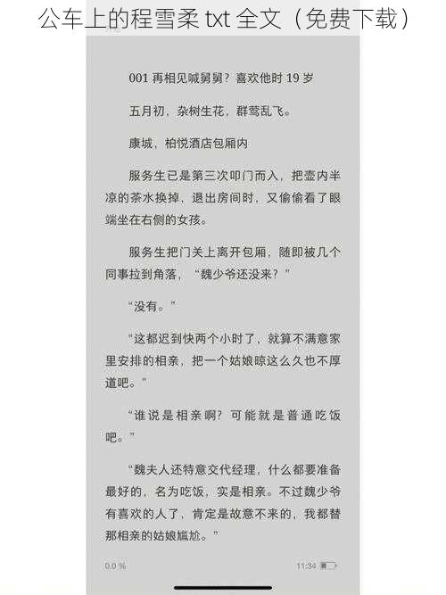 公车上的程雪柔 txt 全文(免费下载)