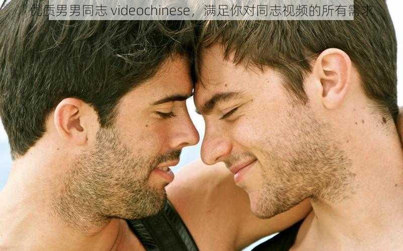 优质男男同志 videochinese,满足你对同志视频的所有需求