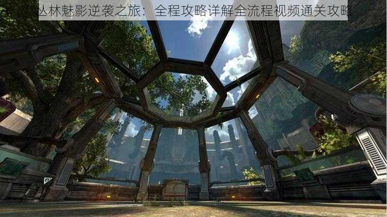 丛林魅影逆袭之旅:全程攻略详解全流程视频通关攻略