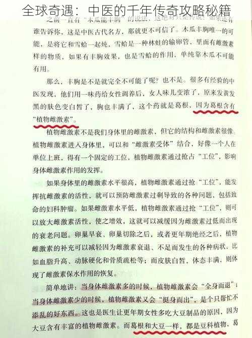 全球奇遇:中医的千年传奇攻略秘籍