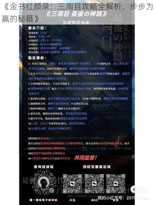 《金书红颜录:三周目攻略全解析,步步为赢的秘籍》