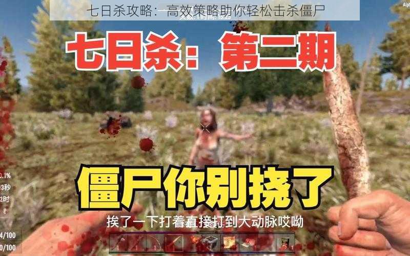 七日杀攻略:高效策略助你轻松击杀僵尸