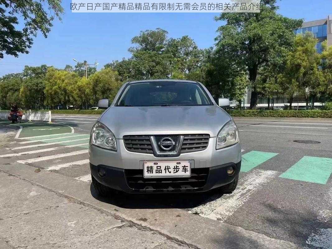 欧产日产国产精品精品有限制无需会员的相关产品介绍