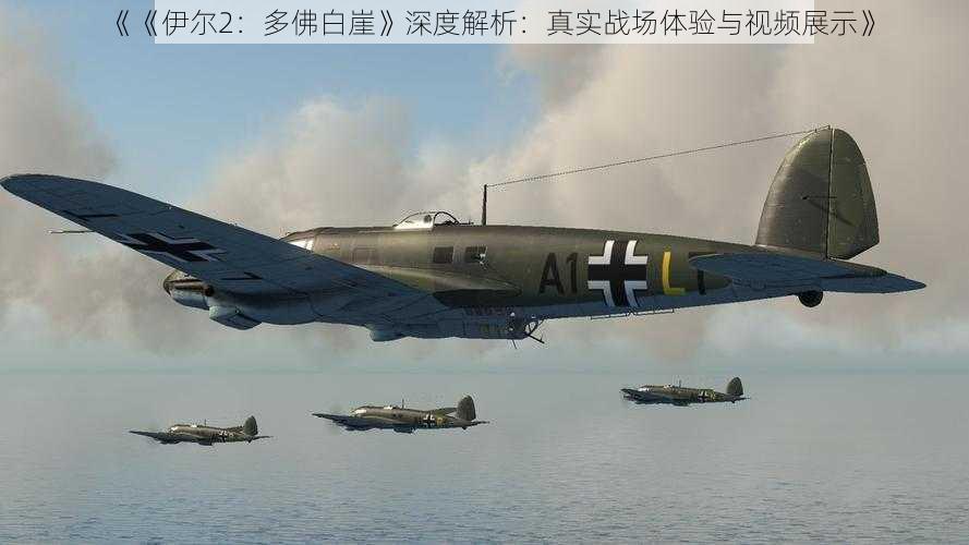 《《伊尔2:多佛白崖》深度解析:真实战场体验与视频展示》
