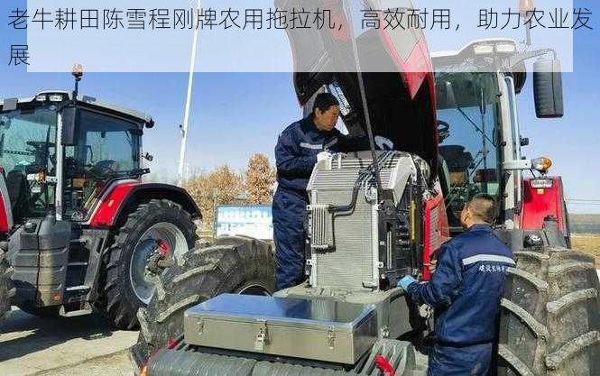 老牛耕田陈雪程刚牌农用拖拉机,高效耐用,助力农业发展