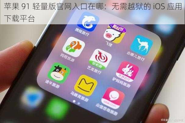 苹果 91 轻量版官网入口在哪:无需越狱的 iOS 应用下载平台