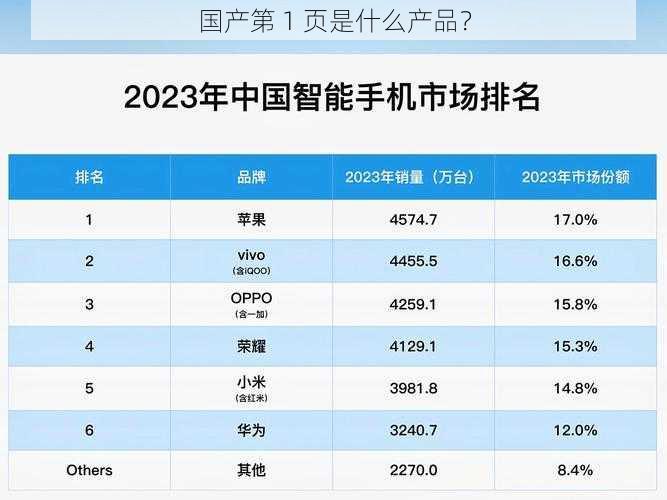 国产第 1 页是什么产品?
