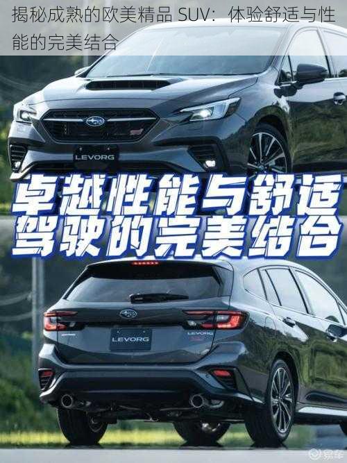 揭秘成熟的欧美精品 SUV:体验舒适与性能的完美结合