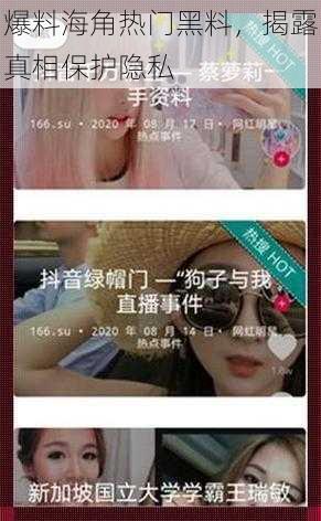爆料海角热门黑料,揭露真相保护隐私