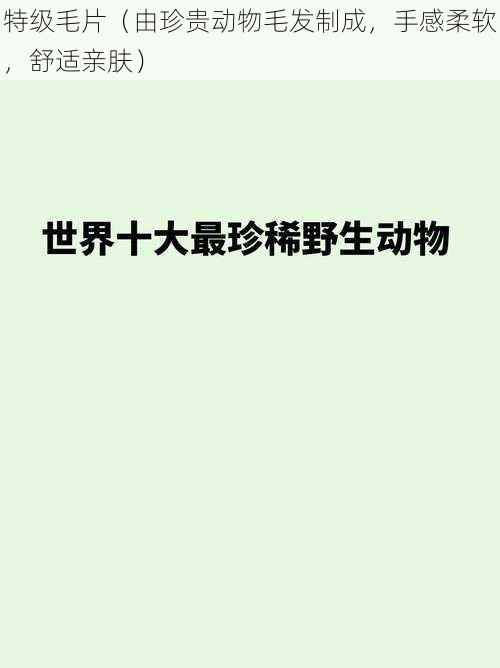特级毛片(由珍贵动物毛发制成,手感柔软,舒适亲肤)