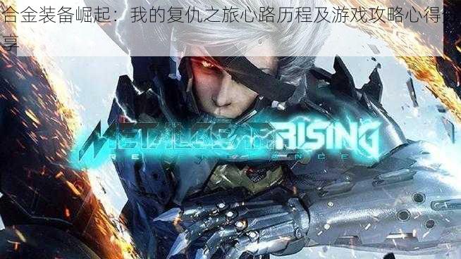合金装备崛起:我的复仇之旅心路历程及游戏攻略心得分享