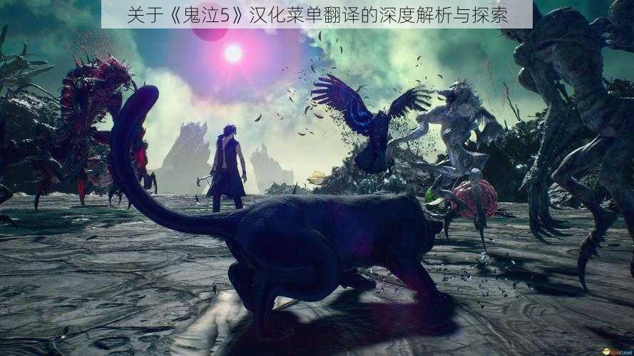 关于《鬼泣5》汉化菜单翻译的深度解析与探索