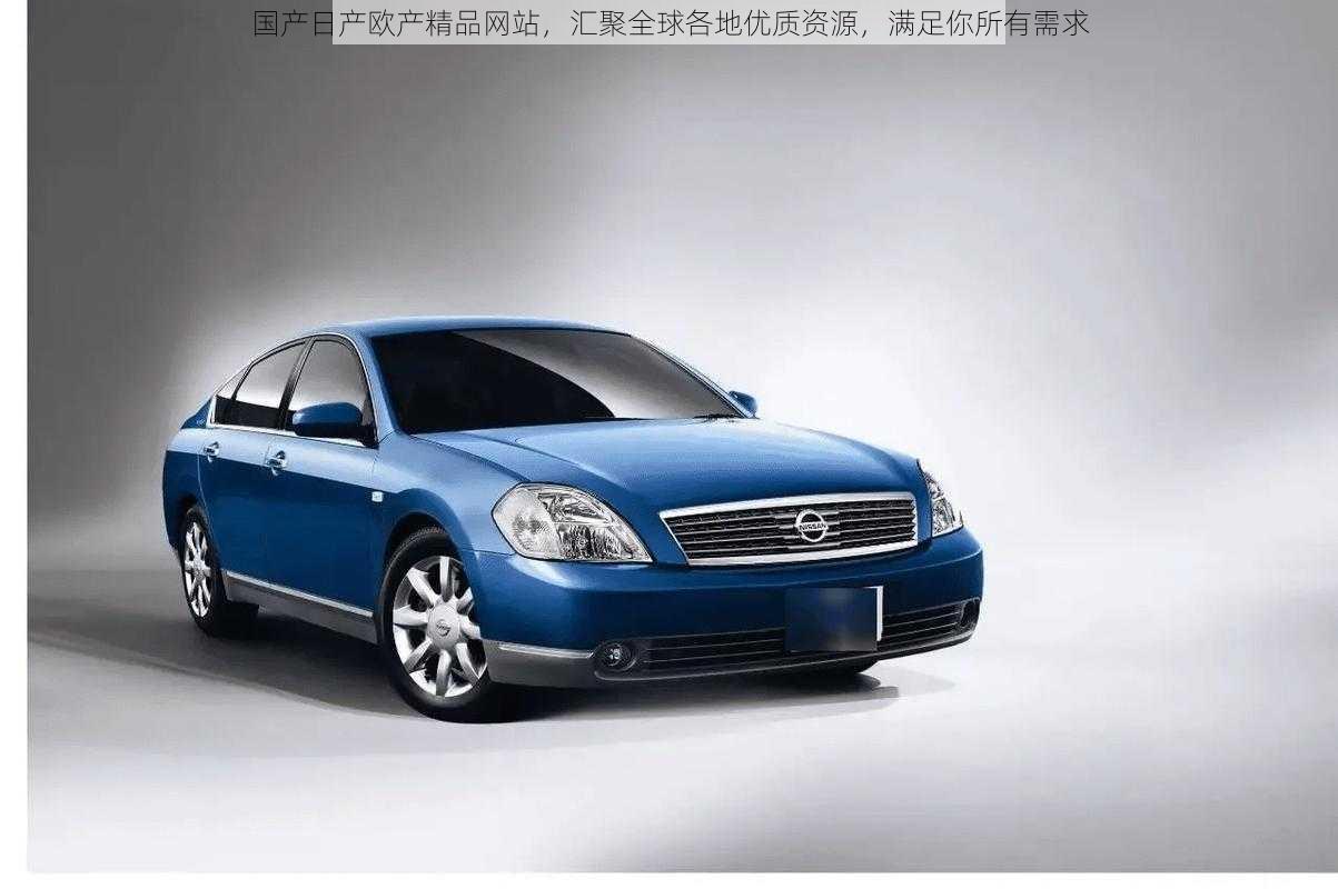 国产日产欧产精品网站,汇聚全球各地优质资源,满足你所有需求