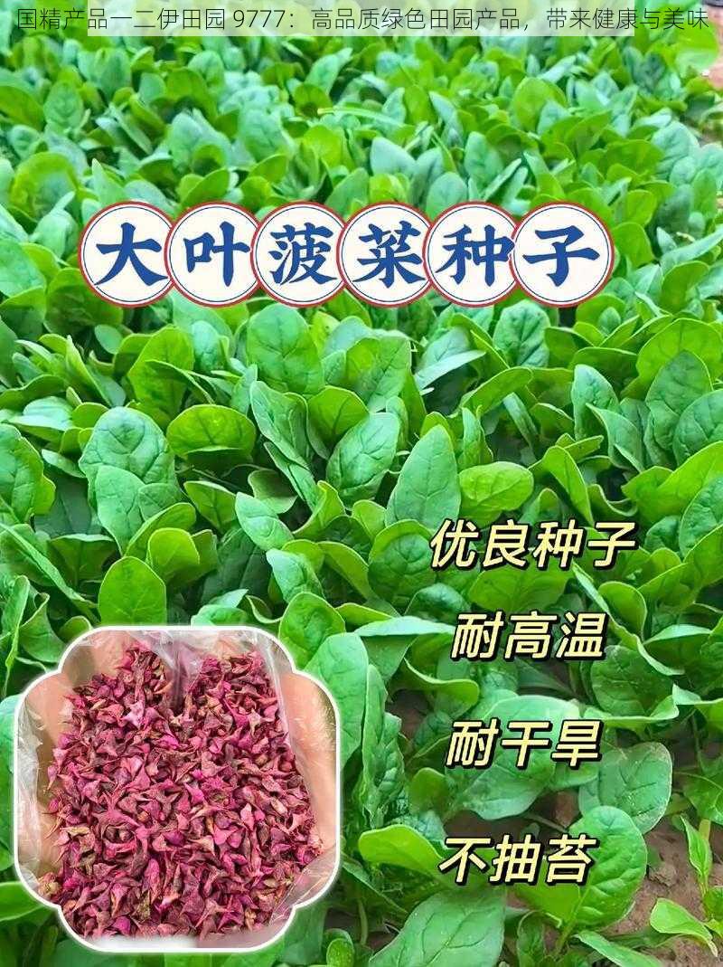 国精产品一二伊田园 9777:高品质绿色田园产品,带来健康与美味