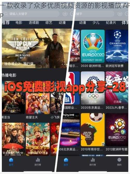 一款收录了众多优质视频资源的影视播放 APP
