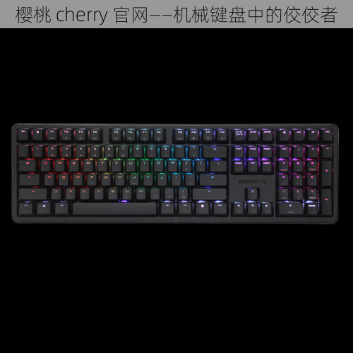 樱桃 cherry 官网——机械键盘中的佼佼者