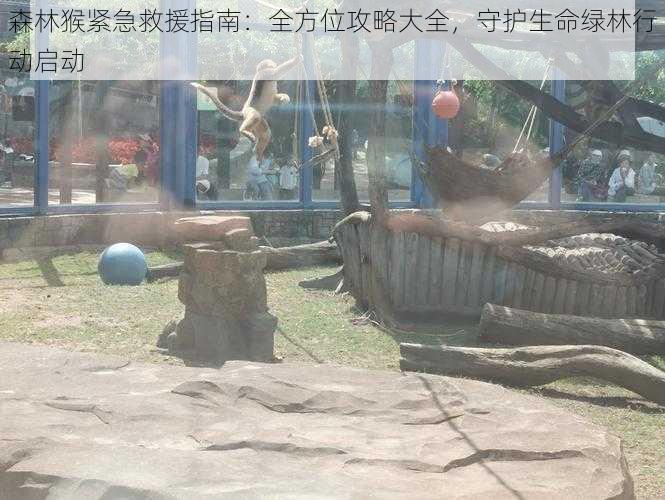 森林猴紧急救援指南:全方位攻略大全,守护生命绿林行动启动