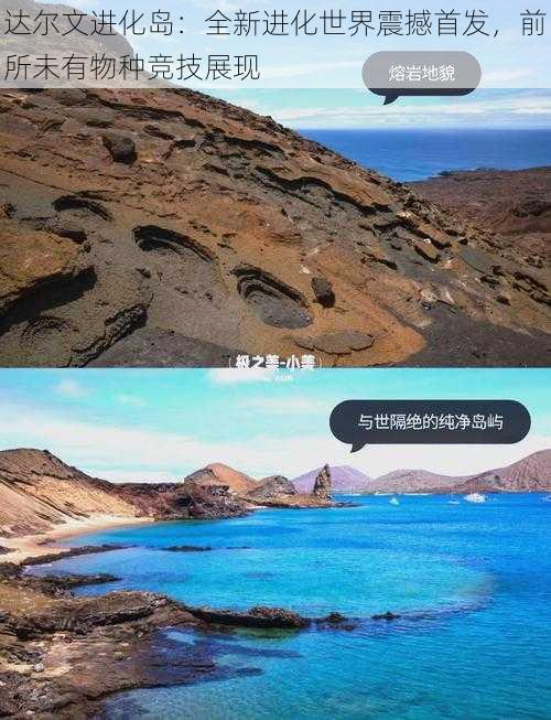 达尔文进化岛:全新进化世界震撼首发,前所未有物种竞技展现