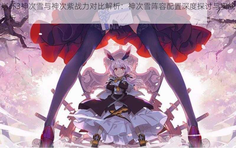 崩坏3神次雪与神次紫战力对比解析:神次雪阵容配置深度探讨与实战分析
